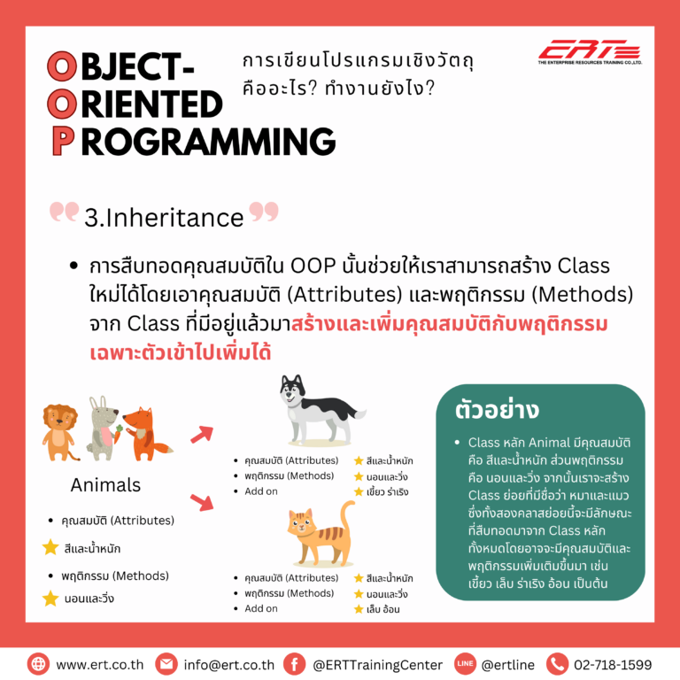 OOP คืออะไร? การเขียนโปรแกรมแบบ OOP ทำงานยังไง